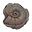 Ammonite Fossil.png