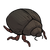 Beetle.png