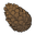 Pinecone.png