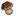 Bolete.png