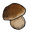 Bolete.png