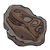 Reptile Fossil.png